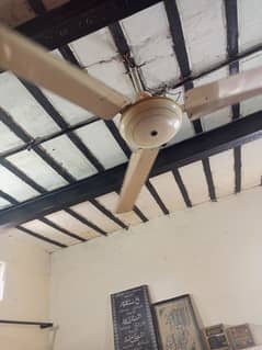 ceiling