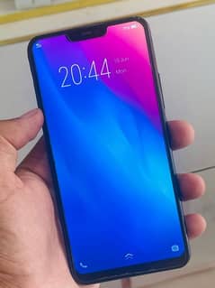 vivo