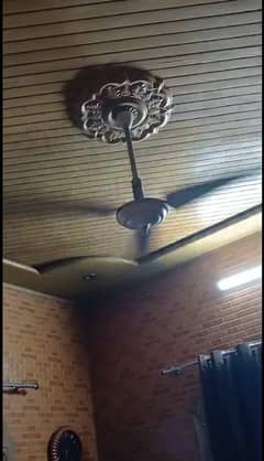 Selling 10 Royal Fans