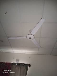ceiling fans
