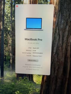 MacBook