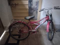 Cycle