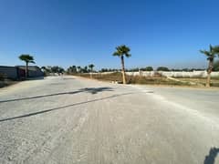 Zamar