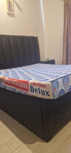deluxe durafoam , 6 inch