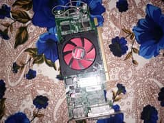 graphic card 2 gb amd Radeon