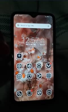 vivo