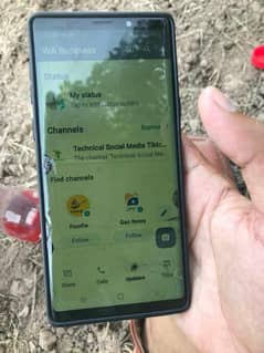 Samsung Galaxy Note 9 pta duel Sim 8 128