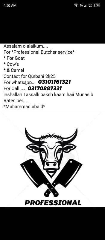 Professional Butcher's Available Eid-ul-Azha 2025
