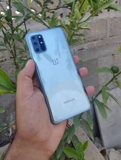 one plus 8t 12+12 (256) life time dual sim global approve