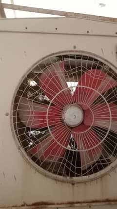 Air cooler