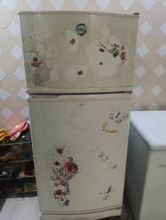 PEL Refrigerator