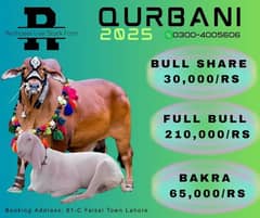 Qurbani 2025 qurbani with us contact no. 03004005606