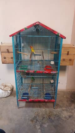 parrot sale