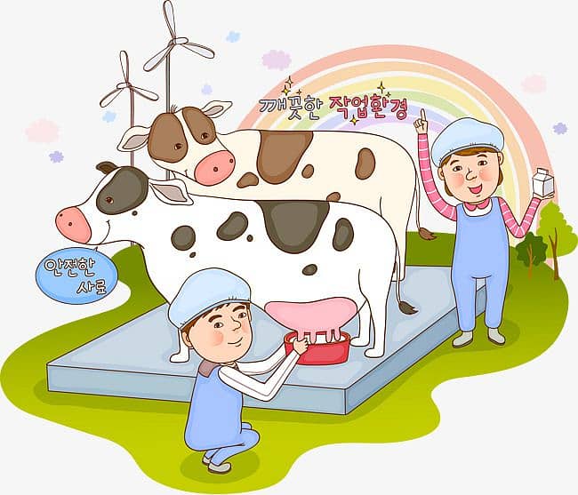 CATTLE FARM DAIRY FARM 0