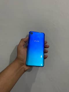 vivo