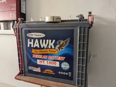 HAWK