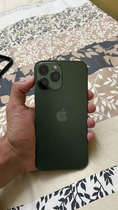 13 pro max
