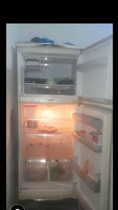 freezer Jambo size  03234438191