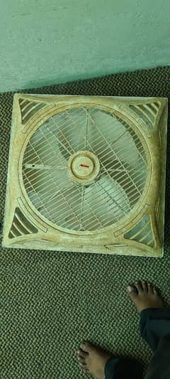celing fan urgent sale