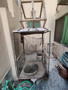 cage for hens/parrot
