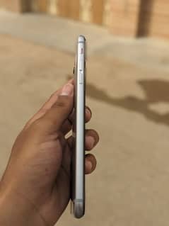6PLUS PTA APPROVED
