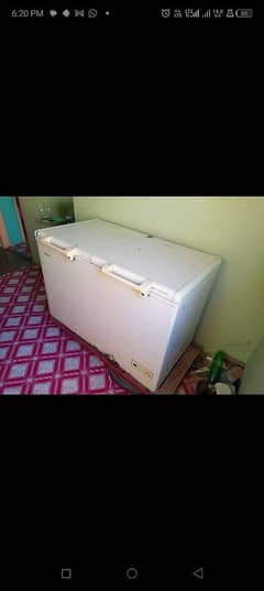 Haier