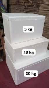 Thermocole box, Ice box, medicine box, fish box