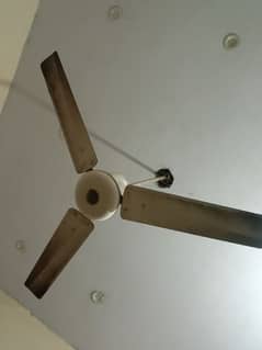 3 adad ceiling fan for sale