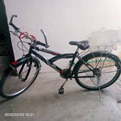 Safari Bicycle