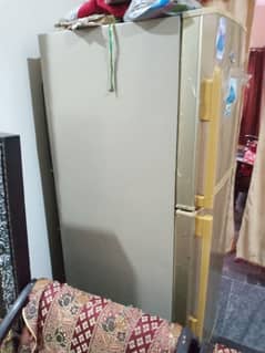 freezer