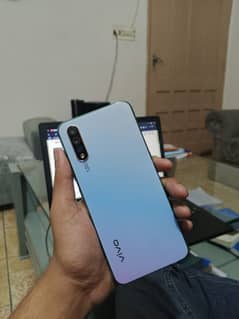 Vivo
