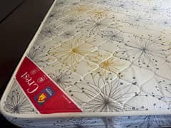 Master Crest bonnel coil 8 inch spring mattress
