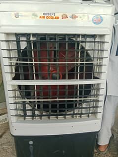 AC DC 12 volt cooler 03055909878