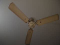 antique s Muhammed din
