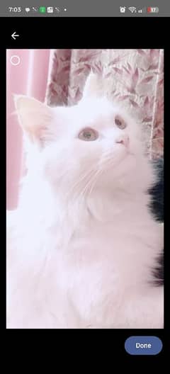 Beautiful