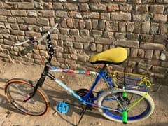 Phoenix cycle 20 number