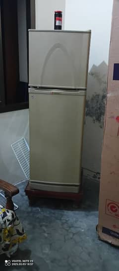 Medium