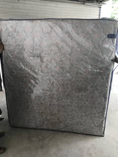 Master Molty Foam - Celeste Bravo Spring Mattress