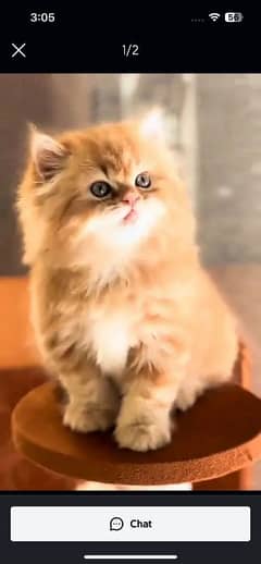 Persian