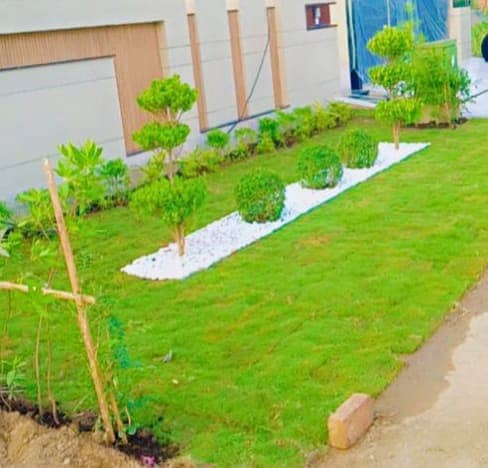 Artificial grass| Grass | Sport Flooring | Carpet Grass | 3