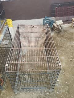 Bird Cage for Sale - for Raw Parrot and African Gray Parrots