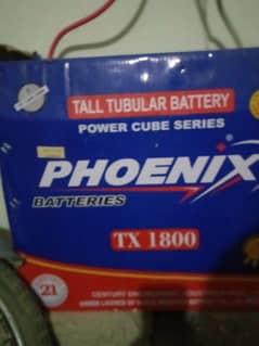 Phoenix tall tubler TX1800