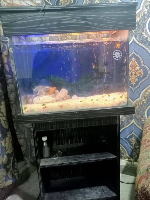 Aquarium+ 9 fish 0