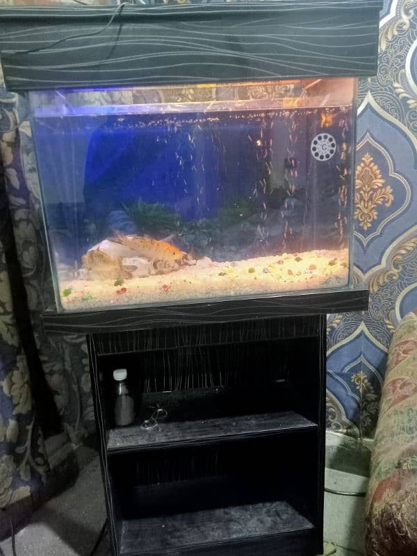 Aquarium+ 9 fish 1