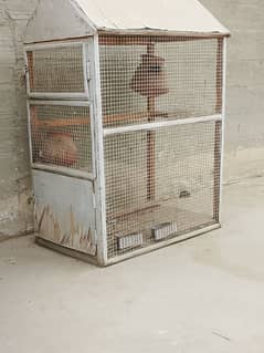 perrot cage