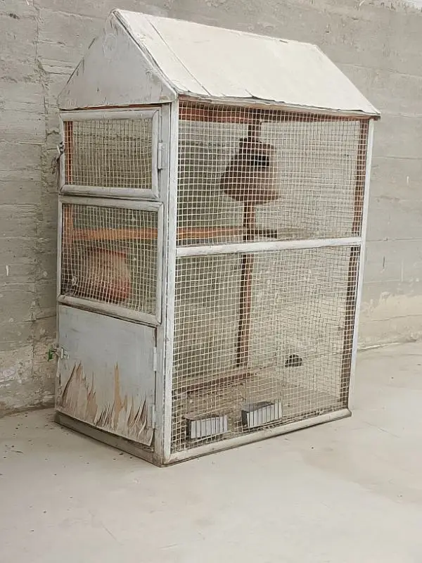 perrot cage — photo 2