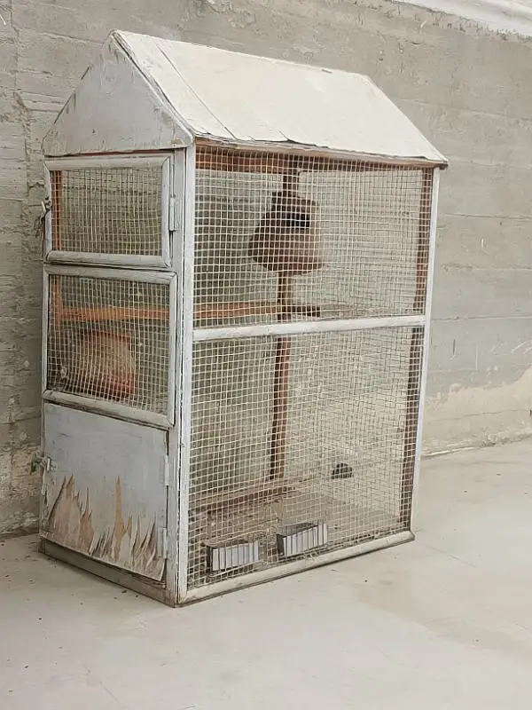 perrot cage — photo 3