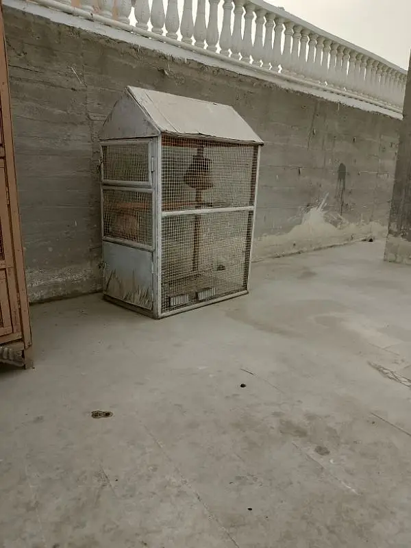 perrot cage — photo 4