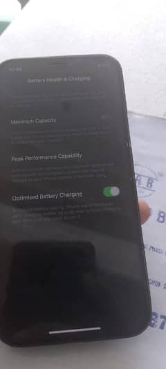 12 pro