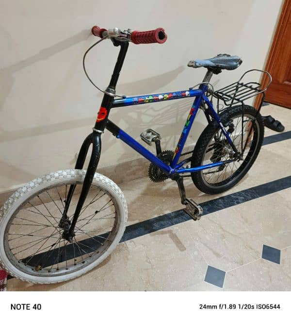 Phoenix bicycle 0